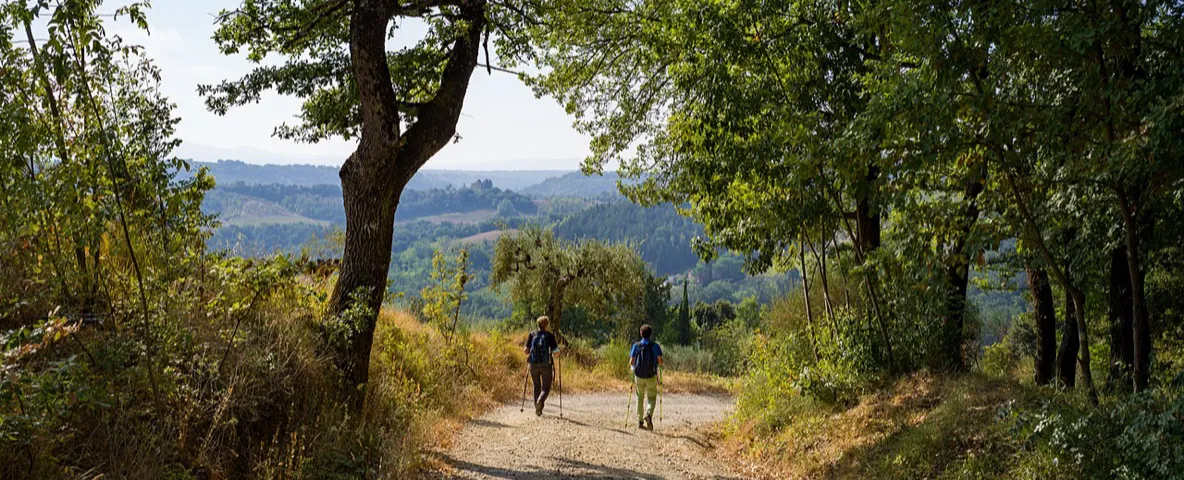Due escursionisti su un sentiero tra gli alberi in un'area naturale